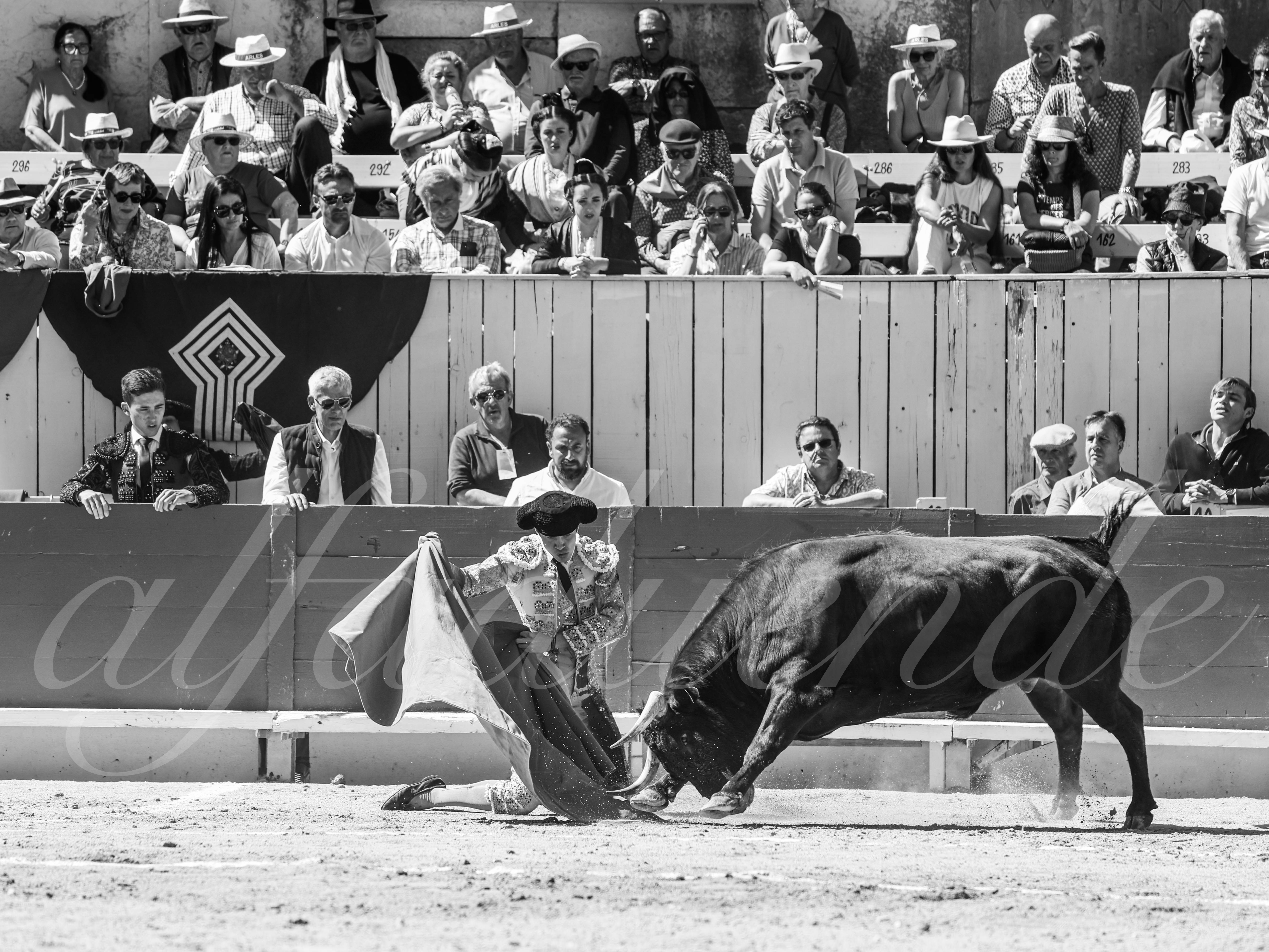 20260405 arles nov fd 016 copie