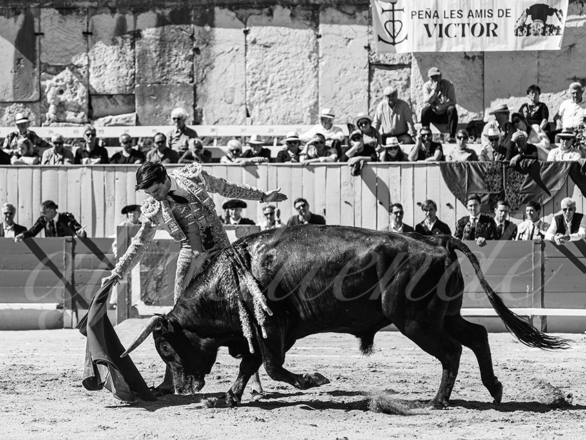 20260405 arles nov fd 013 copie