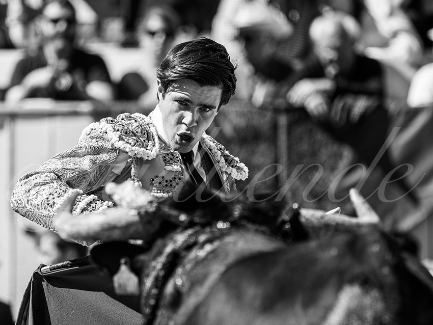 20260405 arles nov fd 012 copie