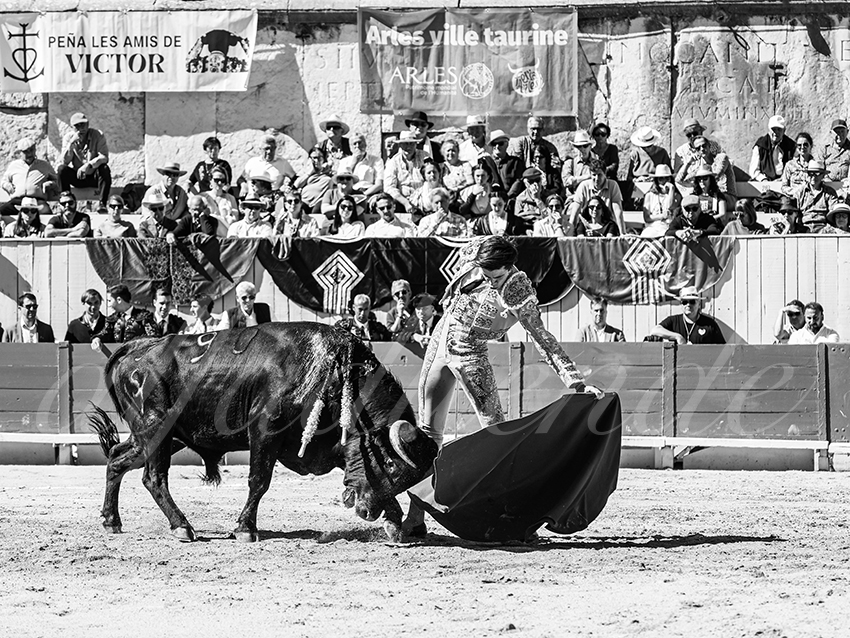 20260405 arles nov fd 011 copie