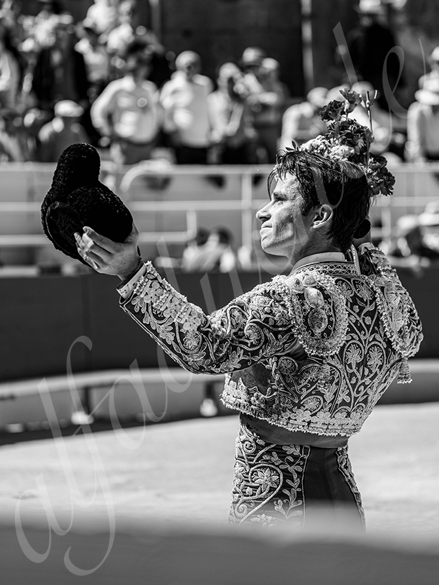 20260405 arles nov fd 010 copie