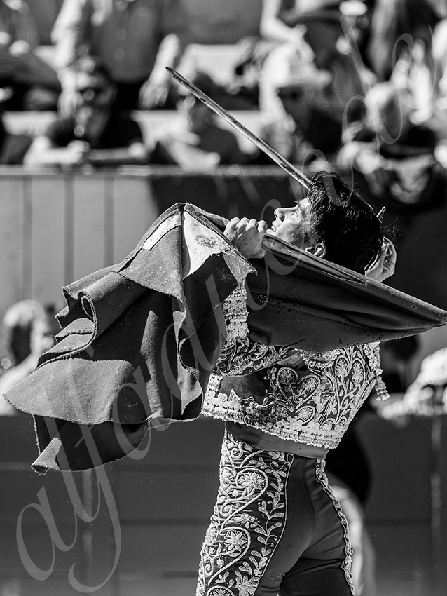 20260405 arles nov fd 009 copie