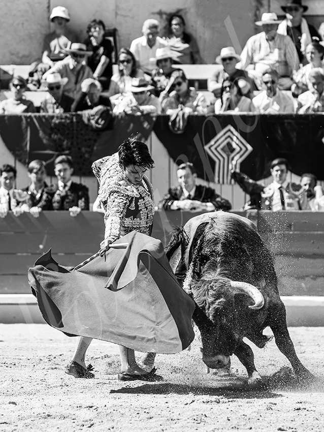 20260405 arles nov fd 008 copie