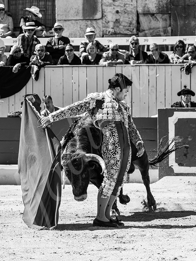 20260405 arles nov fd 007 copie