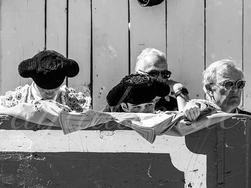 20260405 arles nov fd 006 copie