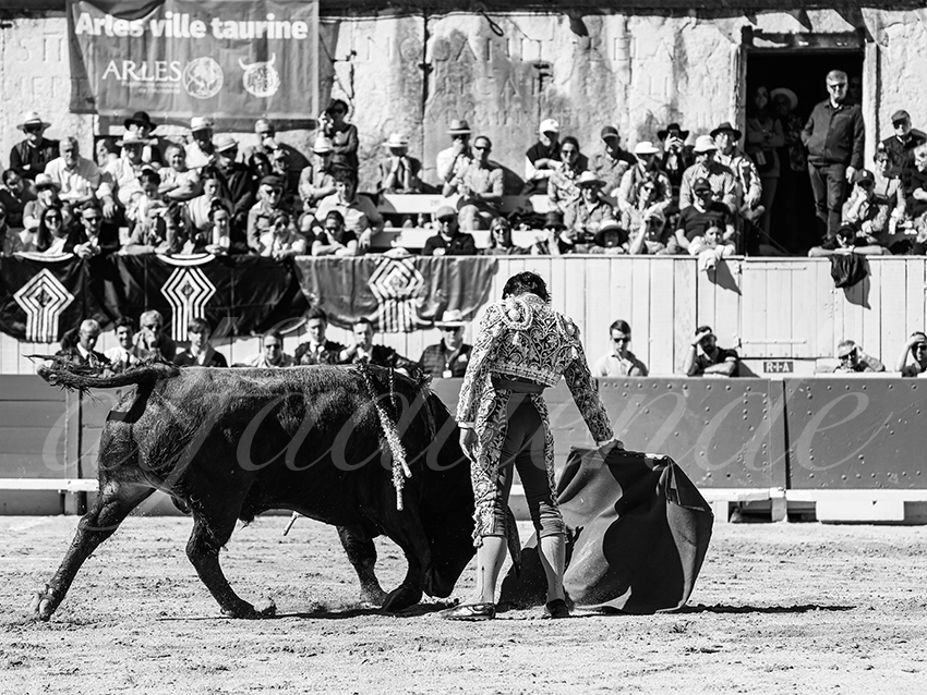 20260405 arles nov fd 005 copie