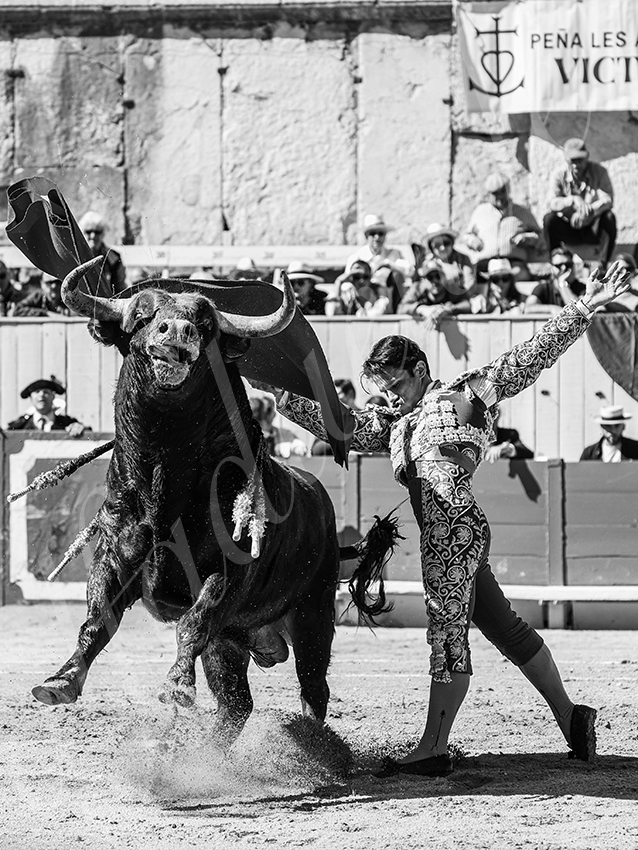 20260405 arles nov fd 003 copie