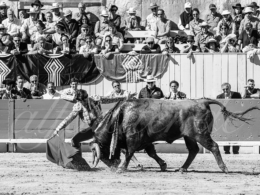 20260405 arles nov fd 002 copie