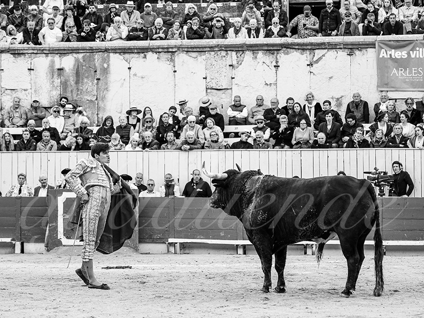 20260406 arles fd 014