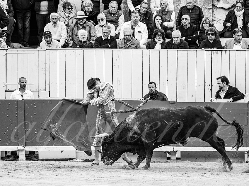 20260406 arles fd 012