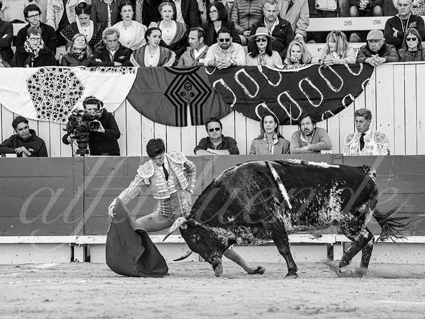 20260406 arles fd 010