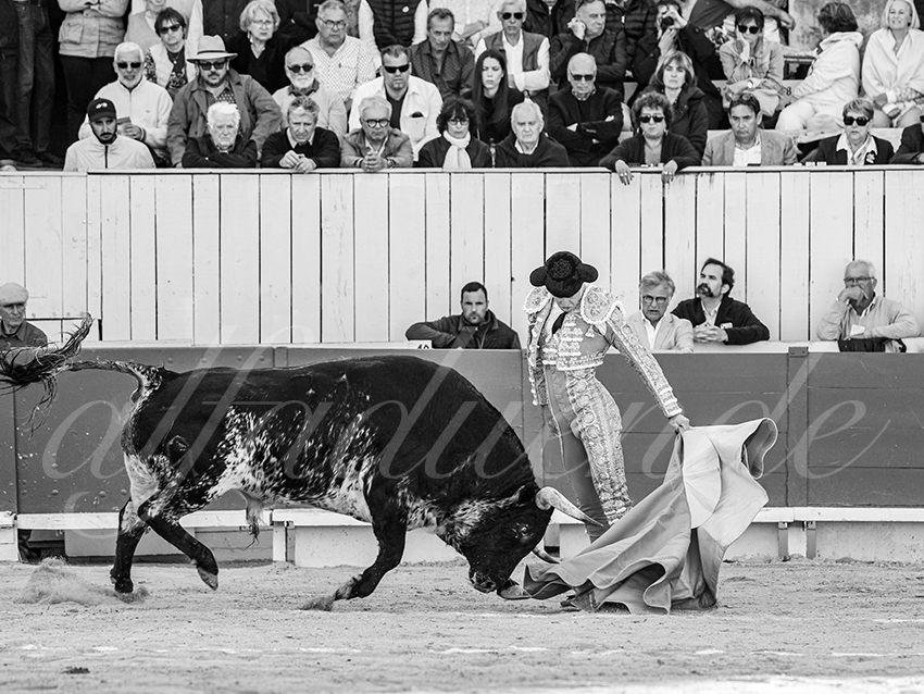 20260406 arles fd 009