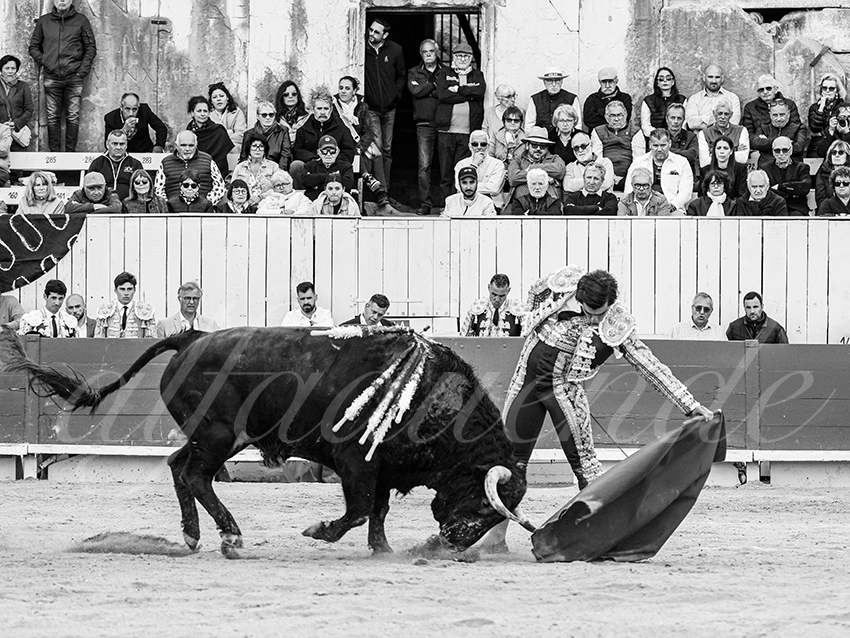 20260406 arles fd 007