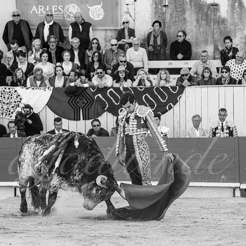 20260406 arles fd 006