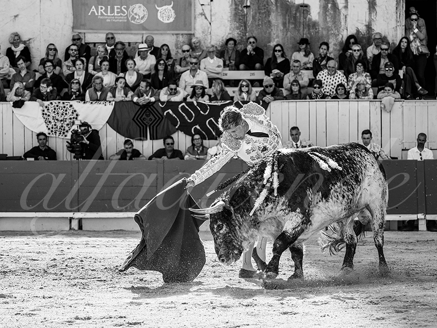 20260406 arles fd 004