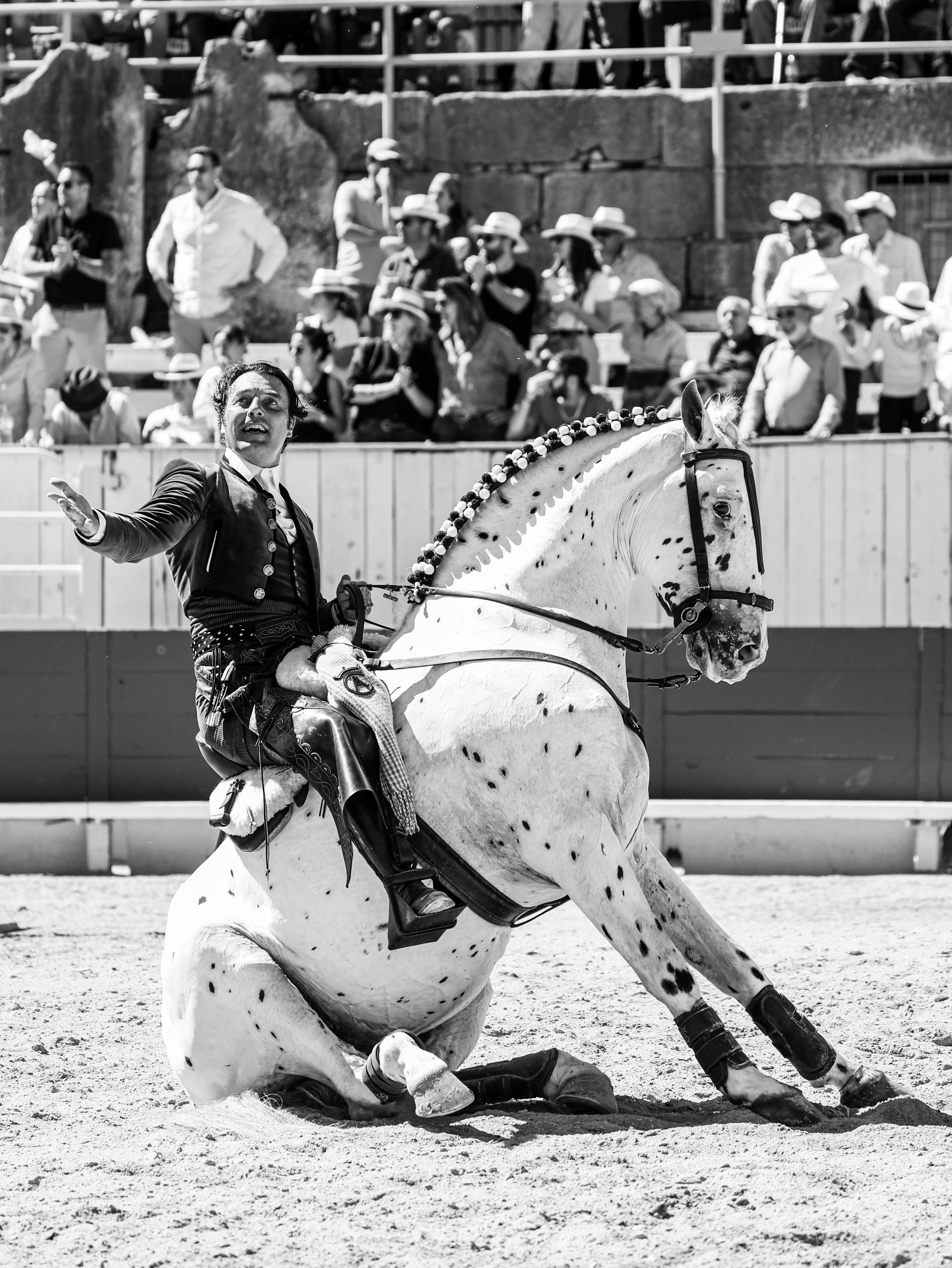 20260406 rejon arles fd 003