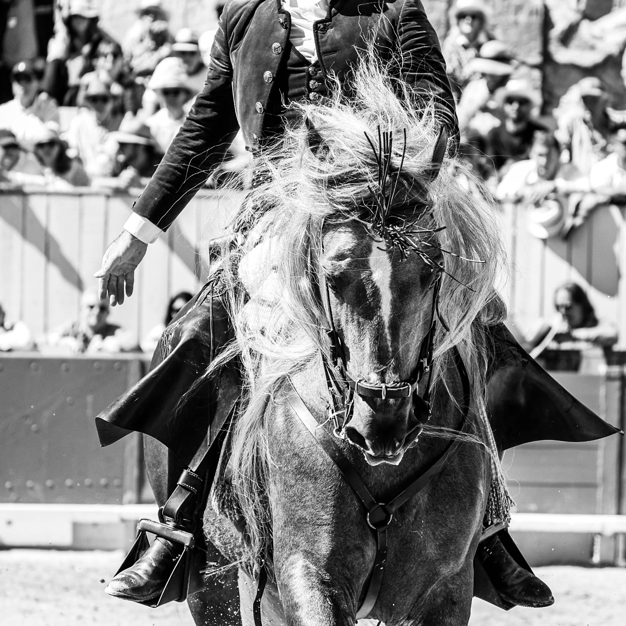 20260406 rejon arles fd 002