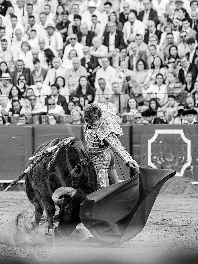 20260418 sevilla fd 026 copie