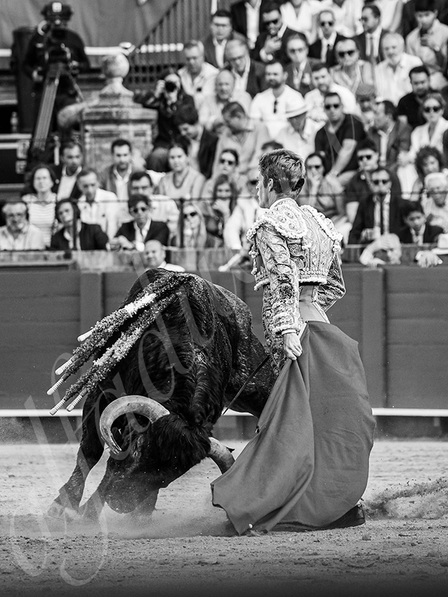 20260418 sevilla fd 025 copie