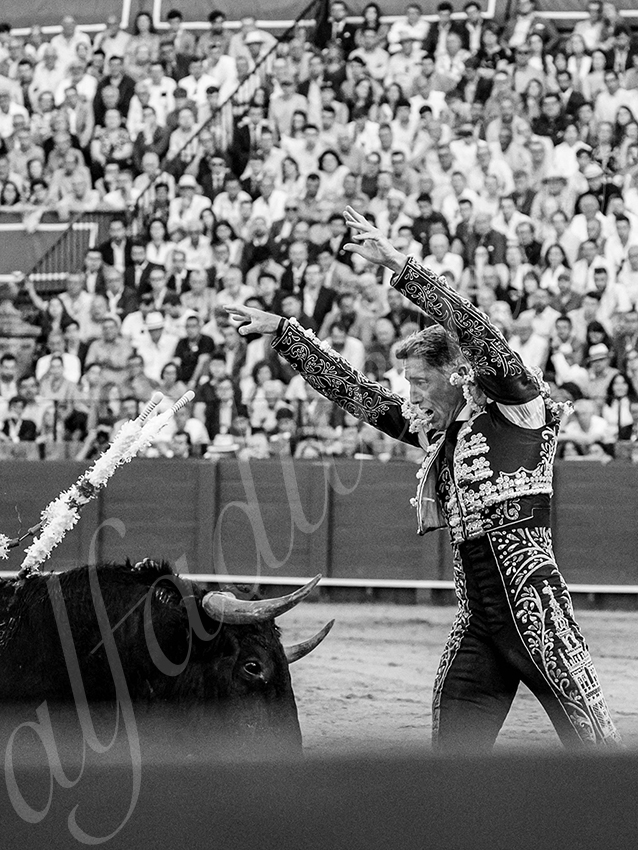 20260418 sevilla fd 018 copie