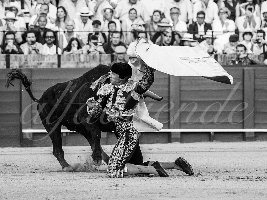 20260418 sevilla fd 016 copie