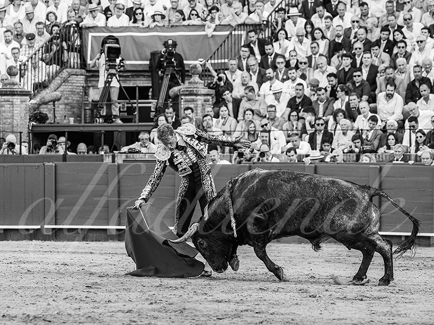 20260418 sevilla fd 015 copie