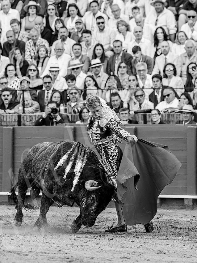 20260418 sevilla fd 014 copie