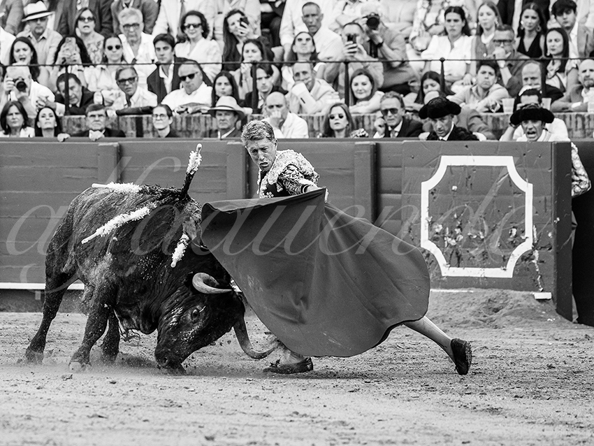 20260418 sevilla fd 013 copie