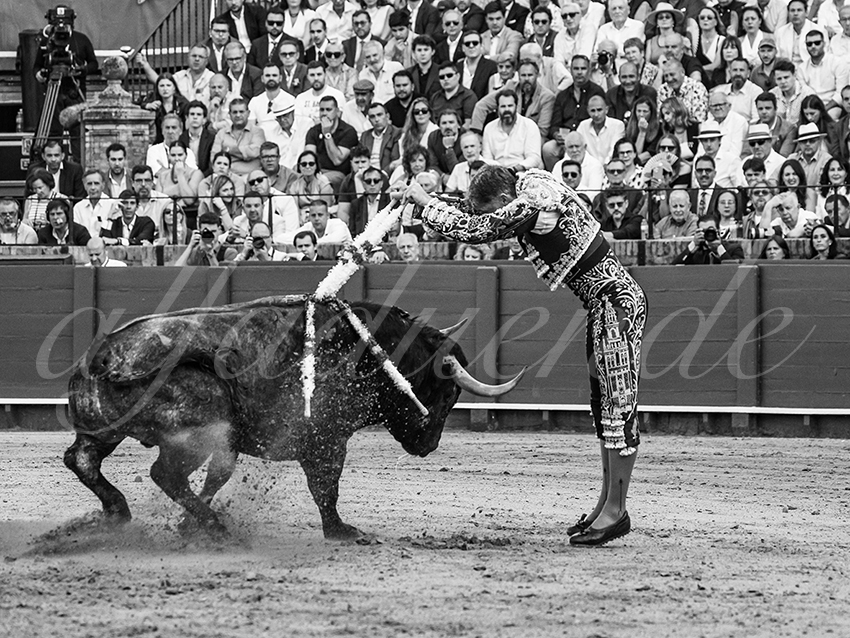 20260418 sevilla fd 012 copie