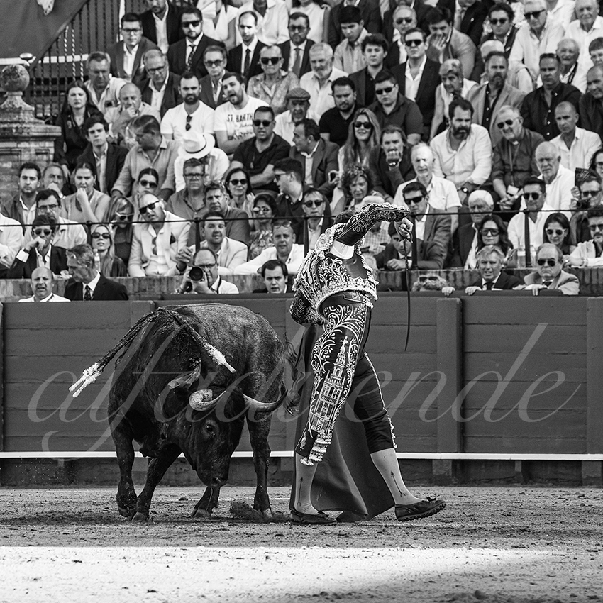 20260418 sevilla fd 010 copie