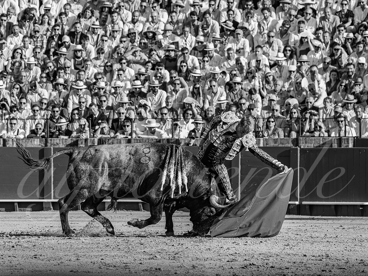 20260418 sevilla fd 009 copie