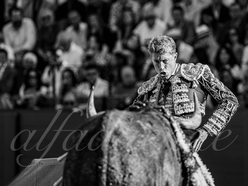 20260418 sevilla fd 008 copie