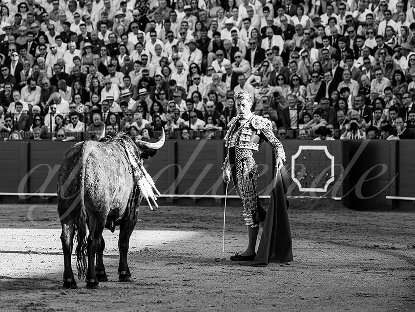 20260418 sevilla fd 007 copie