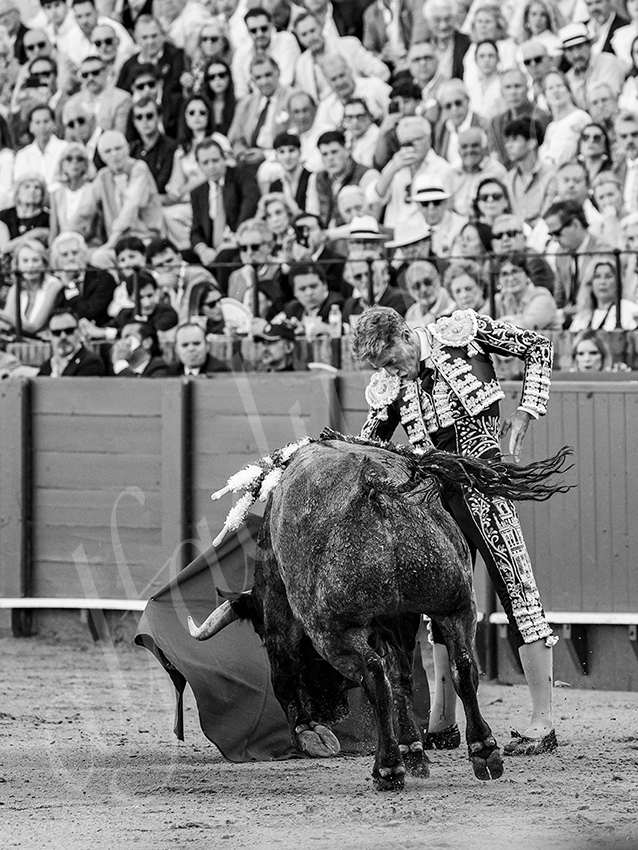 20260418 sevilla fd 006 copie