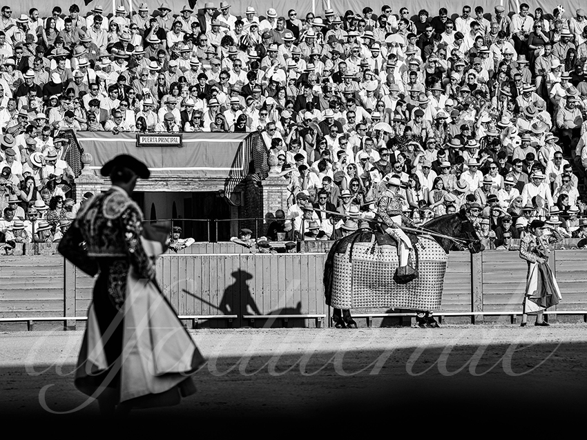 20260418 sevilla fd 005 copie