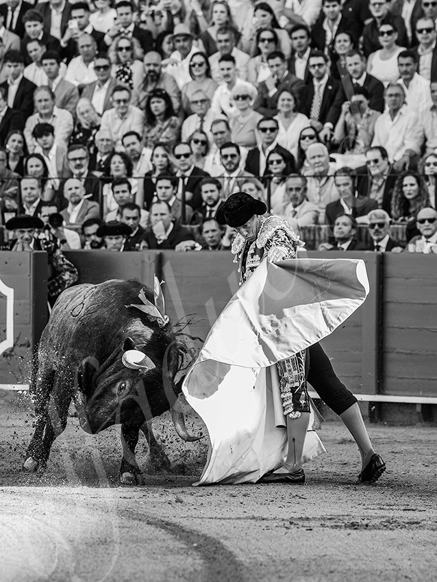 20260418 sevilla fd 004 copie