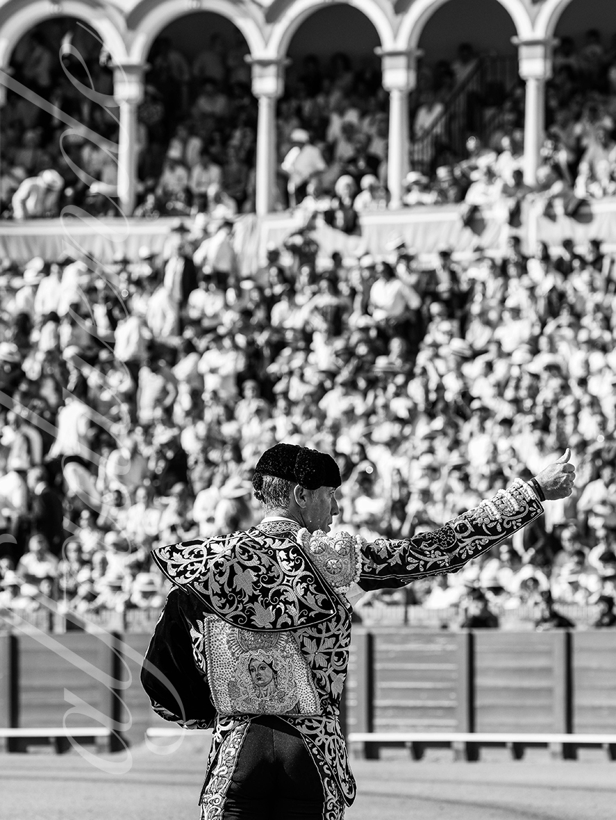 20260418 sevilla fd 002 copie