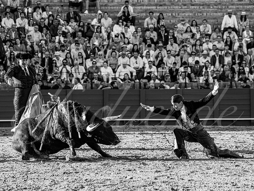 20260419 sevilla fd 017 copie