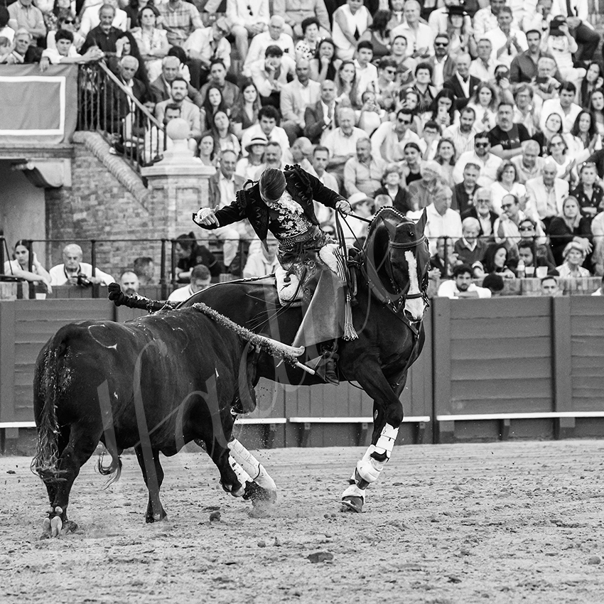 20260419 sevilla fd 015 copie