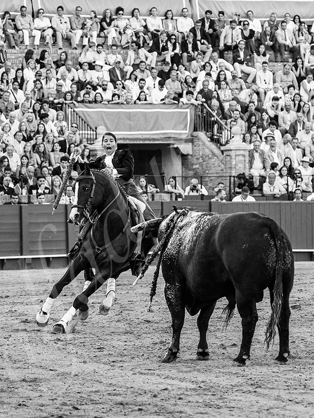 20260419 sevilla fd 014 copie