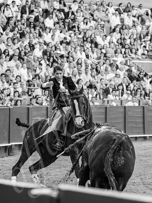 20260419 sevilla fd 013 copie