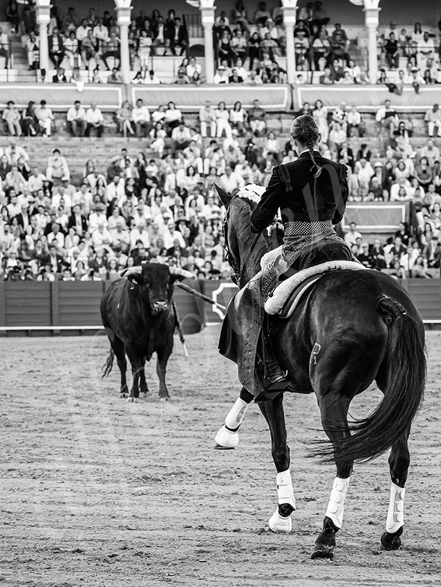 20260419 sevilla fd 012 copie