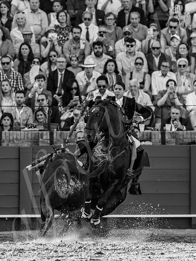 20260419 sevilla fd 010 copie