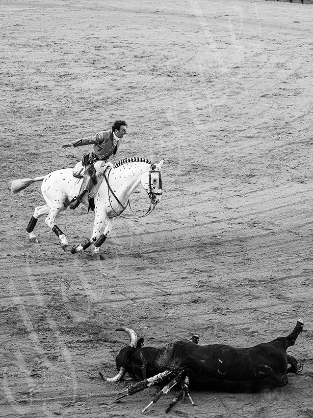 20260419 sevilla fd 008 copie