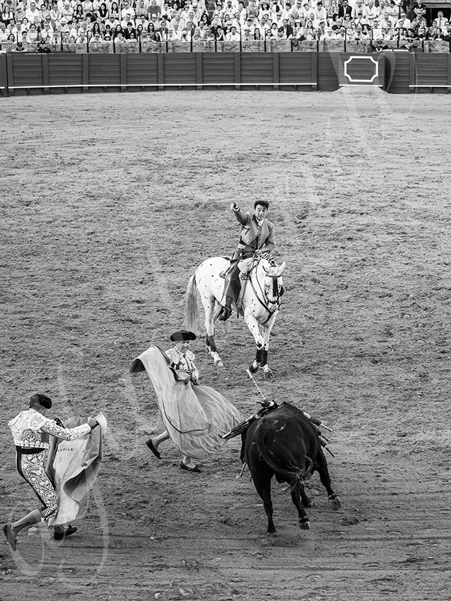 20260419 sevilla fd 007 copie