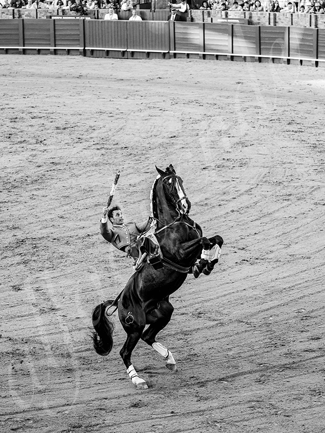 20260419 sevilla fd 005 copie