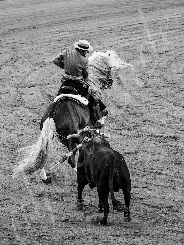 20260419 sevilla fd 004 copie