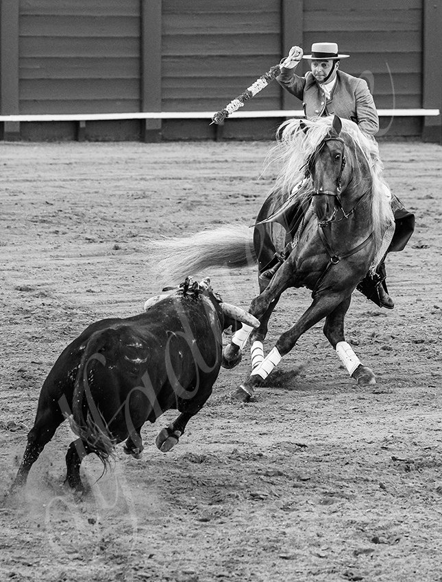 20260419 sevilla fd 003 copie