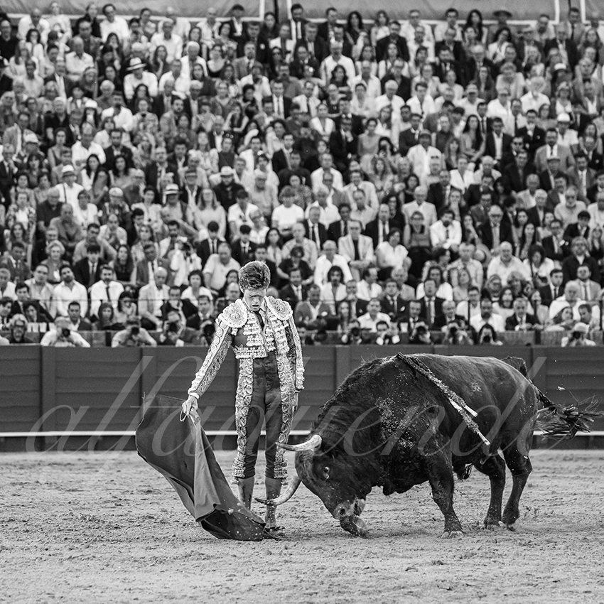 20260420 sevilla fd 033 copie