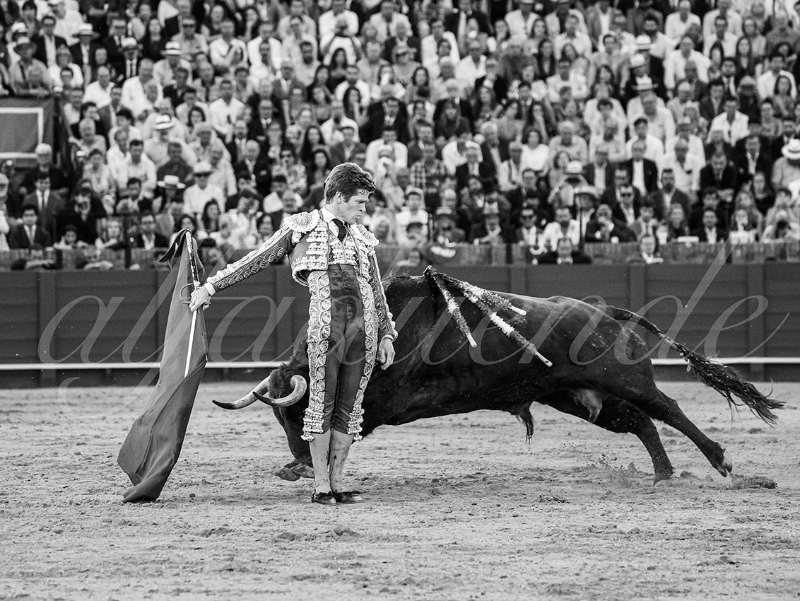 20260420 sevilla fd 032 copie